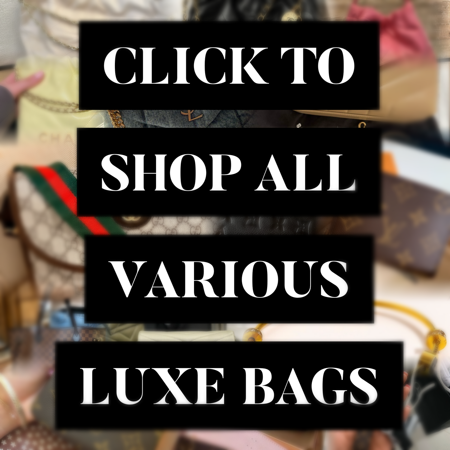 Various Luxe Bags (more options and brands)